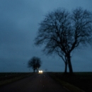 photo © angelle