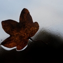 photo © angelle