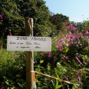 photo © angelle