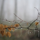 photo © angelle