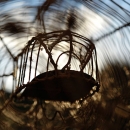 photo © angelle
