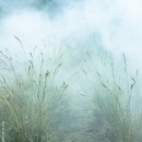 photo @ angelle