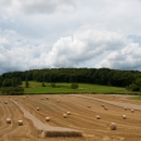 photo @ angelle