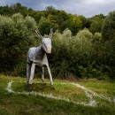 photo @ angelle