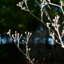 photo @ angelle