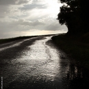 photo @ angelle