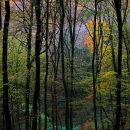 photo @ angelle