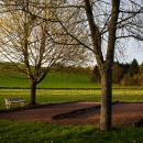 photo @ angelle