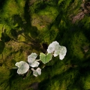 photo @ angelle