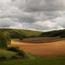 photo @ angelle