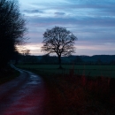photo @ angelle