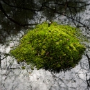 photo @ angelle