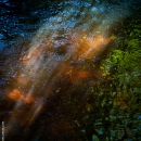 photo @ angelle