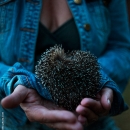 photo @ angelle