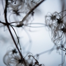 photo @ angelle