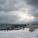 photo @ angelle