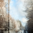 photo © angelle