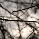 photo © angelle
