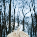 photo © angelle