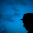 photo © angelle