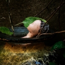 photo © angelle