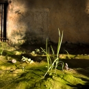 photo © angelle