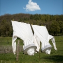 photo © angelle