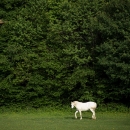 photo © angelle