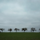 photo © angelle