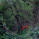 photo © angelle