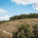 DSC7872-colline-deforestationtif
