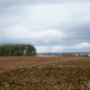 DSC8025-vitre-champs-pluie