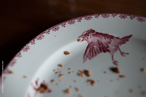 photo © angelle-assiette-oiseau miettes repas jeux