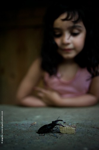 photo © angelle filette-lucane gateau etrange enfance curiosite