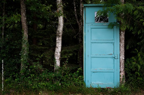photo © angelle-porte-foret-surprise-etrange-vegetation-bleu