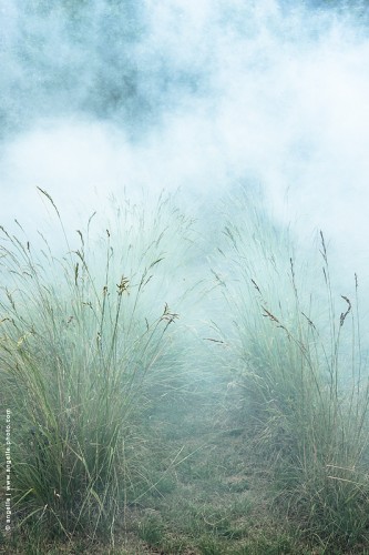photo © angelle-herbe-fumee feu mystère poésie brume