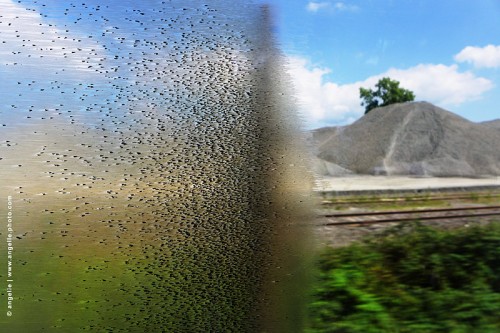 photo @ angelle voyage-train-vitre sensation vitesse troublant