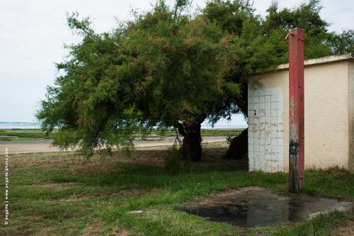 photo @ angelle-douche-bassin arcachon abandon vide désuet