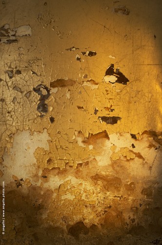 photo @angelle -mur-decrepi-renard matière rupestre brillance lumiere beauté