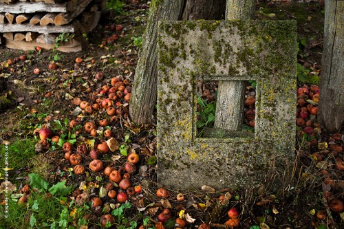 photo © angelle -rectangle-pommes recolte automne matière couleurs