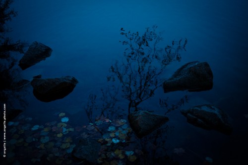 photo © angelle-pierres-parc-lac-nuit-mystere-eau reflet douceur crépuscule
