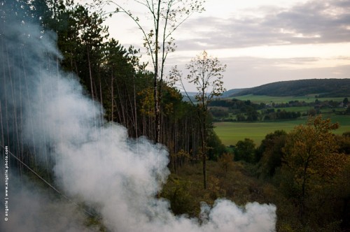 _DSC7040-foret-feu-plaine déboisement soirée détruire fumée