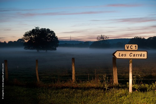 photo @ angelle-crepuscule-panneau-les-carres prés petites routes brume automne silhouette douceur retour