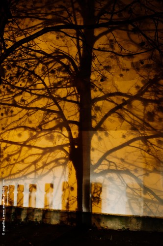 photo @angelle-ombre-phares ville rue jeux lumiere magie jaune artificiel