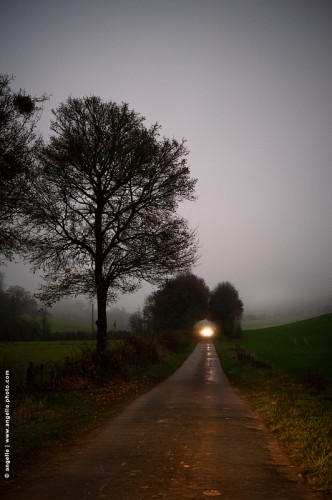 photo © angelle-route-droite-haies-phare-arbre campagne isolement automne crépuscule voyage