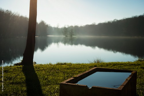 photo @ angelle-etang réservoir eau étang brume hiver calme solitude surface