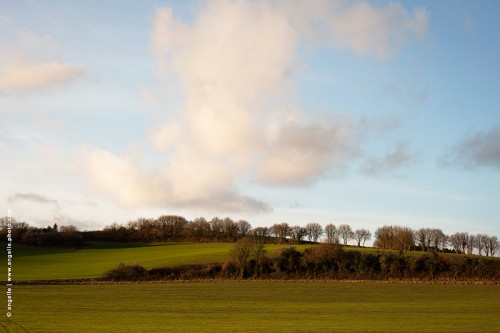 photo @ angelle-champs-hivers-soiree-nuages mouvement colline douceur apaise lisieres champs vert ciel tranquille