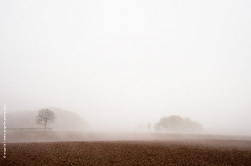 photo @ angelle-pre-laboure-brume hiver terre rouge silouette arbre paysage douceur silence chaleur evapore culture