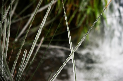 photo @ angelle-herbe-gelee croix hiver X souder froid gèle eau barrer lignes