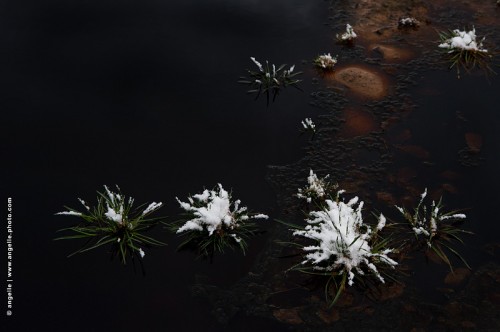photo @ angelle-marre-noire-herbe-neige-ligne surprise rochers hiver graphique
